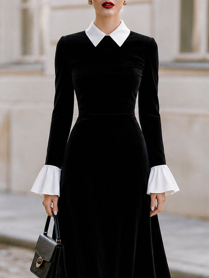 Contrast White Collar Flare Cuff Black Velvet Midi Flared Dress