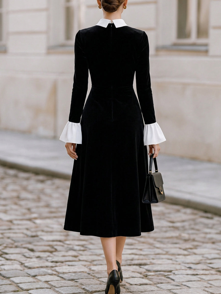 Contrast White Collar Flare Cuff Black Velvet Midi Flared Dress