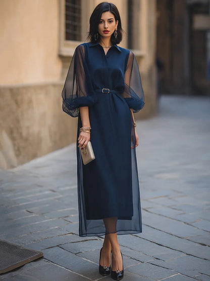 Sheer Organza Sleeve Belted Shirt Midi Dress