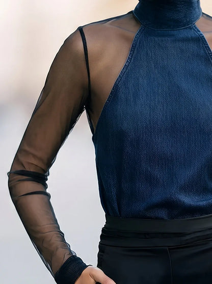 Sheer Mesh Sleeve Velvet Mock Neck Blouse