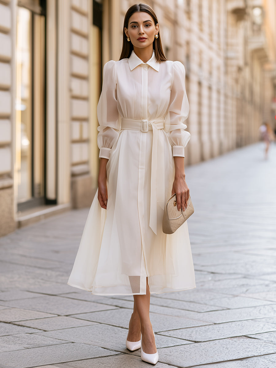 Elegant Belted Sheer Sleeve Shirt Maxi Dress