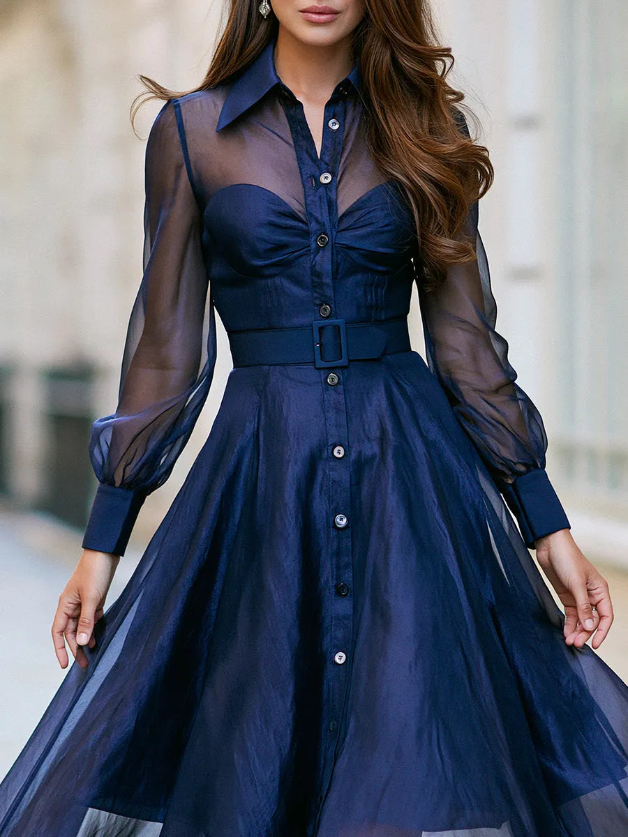 Sheer Sleeve Belted Button-Front Midi Dress