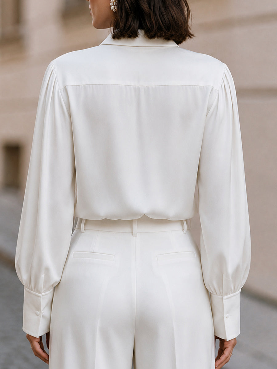 Satin Pointed Collar Blouse, Business & Smart Semi-Formal Outfit