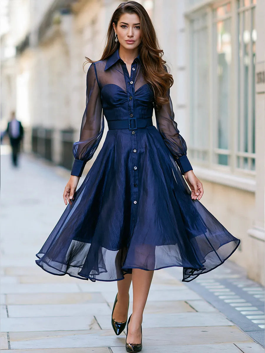 Sheer Sleeve Belted Button-Front Midi Dress