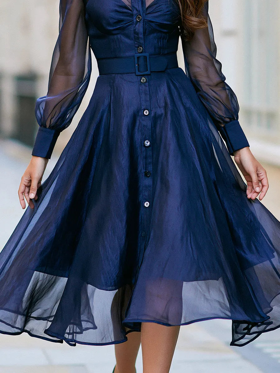 Sheer Sleeve Belted Button-Front Midi Dress