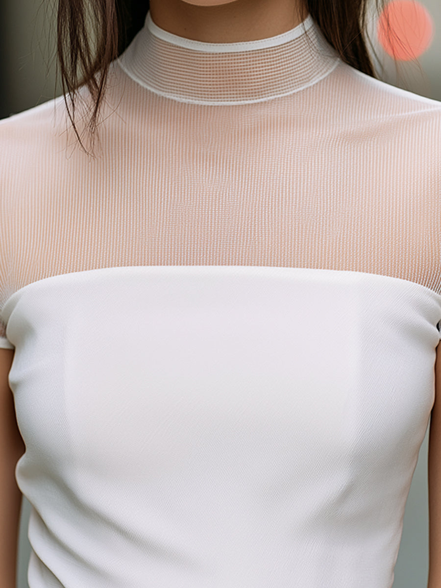 Sheer Mesh High-Neck Short Sleeve Top